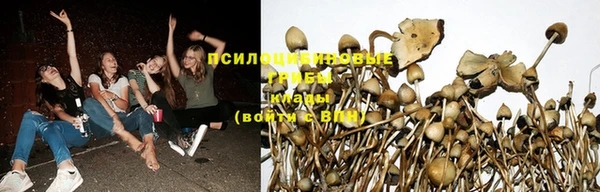 тгк Ладушкин