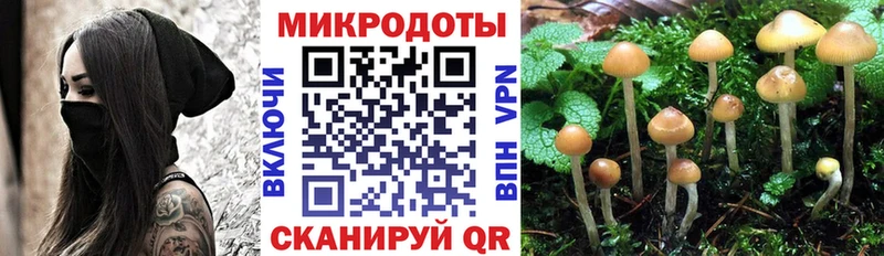 где купить наркотик  дарк нет Telegram  Псилоцибиновые грибы мицелий  Южноуральск 
